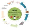 WP2