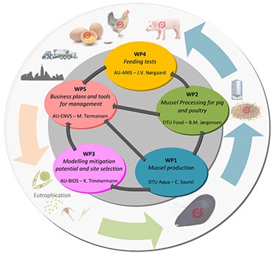 WP overview