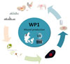 WP1