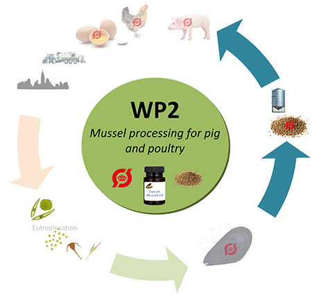 WP2 figure