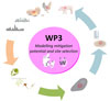 WP3