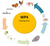 WP4