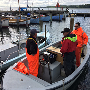 Going out sampling
